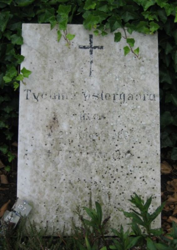 T. Oestergaard.jpg